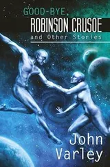 Cover of Good-bye Robinson Crusoe and Other Stories
