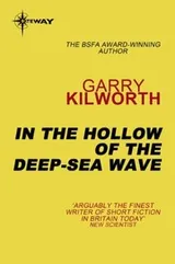 Cover of In the Hollow of the Deep-Sea Wave