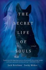 Cover of The Secret Life of Souls: A Novel