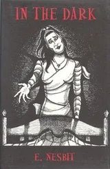 Cover of In the dark