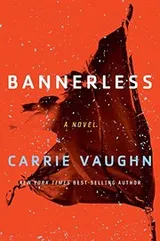 Cover of Bannerless (The Bannerless Saga)