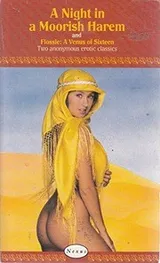 Cover of A Night in a Moorish Harem