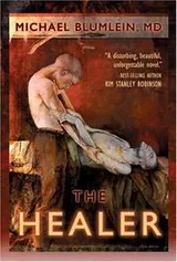 Cover of The healer