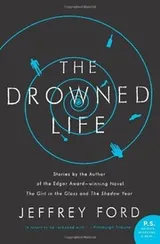 Cover of The Drowned Life