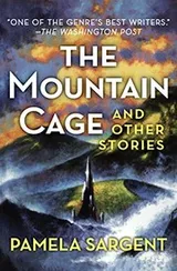 Cover of The Mountain Cage: And Other Stories