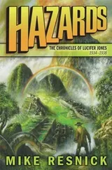 Cover of Hazards