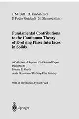 Cover of Fundamental Contributions to the Continuum Theory of Evolving Phase Interfaces in Solids