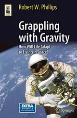 Cover of Grappling with gravity