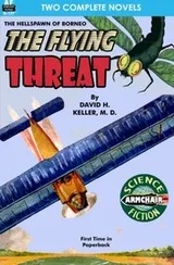Cover of The Flying Threat & The Fifth-Dimension Tube