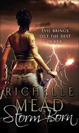 Cover of Storm Born