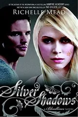 Cover of Silver Shadows