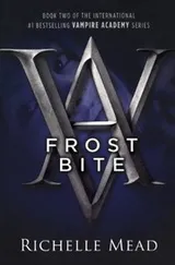 Cover of Frostbite