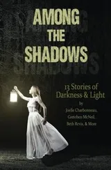 Cover of Among the Shadows