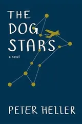 Cover of The Dog Stars