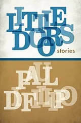 Cover of Little Doors