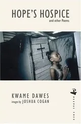 Cover of Hope's Hospice and Other Poems (Peepal Tree Caribbean Poetry)