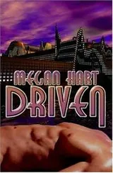 Cover of Driven