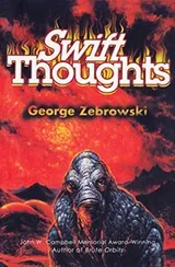 Cover of Swift Thoughts