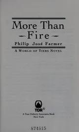 Cover of More than fire