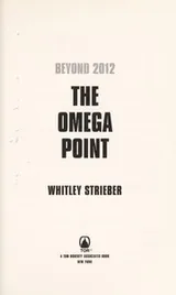 Cover of The Omega Point