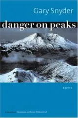 Cover of Danger on Peaks