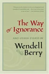 Cover of The way of ignorance