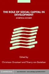 Cover of The role of social capital in development
