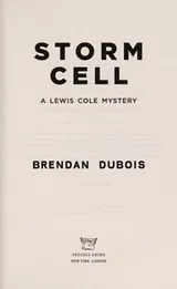 Cover of Storm cell