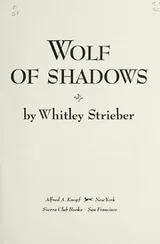 Cover of Wolf of Shadows