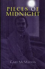 Cover of Pieces of Midnight