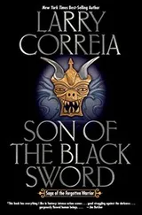 Cover of Son of the Black Sword (Saga of the Forgotten Warrior Book 1)