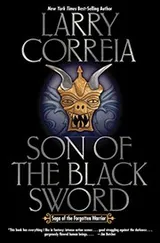 Cover of Son of the Black Sword Signed Limited Edition (Saga of the Forgotten Warrior)
