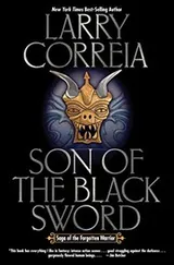 Cover of Son of the Black Sword (Saga of the Forgotten Warrior)