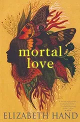 Cover of Mortal Love