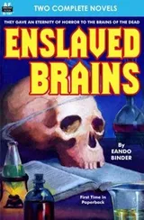 Cover of Enslaved Brains & Conception:Zero