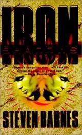 Cover of Iron Shadows