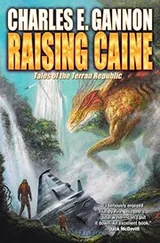 Cover of Raising Caine (Caine Riordan Book 3)