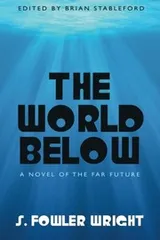 Cover of The World Below: A Novel of the Far Future