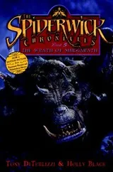 Cover of The Spiderwick Chronicles