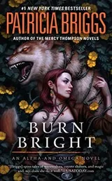 Cover of Burn Bright