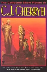 Cover of The Collected Short Fiction of C.J. Cherryh