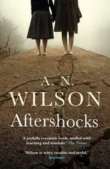 Cover of Aftershocks