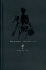 Cover of The Autopsy and Other Tales
