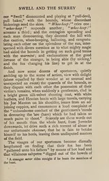 Cover of Jorrocks' jaunts and jollities. The hunting, shooting, racing, driving, sailing, eccentric and extravagant exploits of that renowned sporting citizen Mr. John Jorrocks