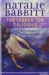 Cover of The Search for Delicious