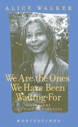Cover of We are the ones we have been waiting for