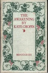 Cover of The Awakening
