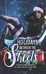 Cover of Holidays Between the Sheets