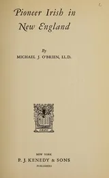 Cover of Pioneer Irish in New England