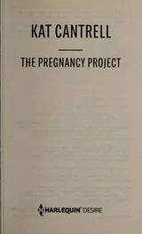 Cover of The pregnancy project